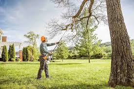 How Our Tree Care Process Works  in  Enterprise, WV